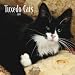 Tuxedo Cats 2009 Wall Calendar 12 X 12