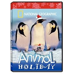 National Geographic - Animal Holiday by 