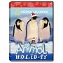 National Geographic - Animal Holiday