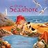On the Seashore (Picture Books)