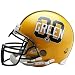 Riddell Packers/Ahman Green NFL Full Size Proline VSR4 Players Helmet