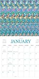 Magic Eye: Amazing 3D Illusions: 2012 Wall Calendar-