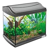 Tetra 171855 AquaArt Shrimps Aquarium-Komplett-Set 20 L, ideal f�r die Haltung und Zucht von Garnelen, anthrazit