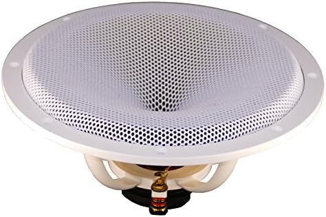 DC GOLD AUDIO N9.5C Speaker Pair White 4 Ohm