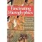 Egyptologica: Linguistics: Introduction