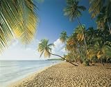Clementoni - 32512 - Tropic, Puzzle 2000 Teile - 