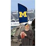Michigan Wolverines NCAA Post Flag