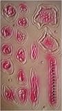 Scar Sheet Bullet Holes Stitches Slashed Slit Wrists Latex Bloody Halloween Costume Accessory