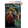 Angel: After The Fall: After the Fall: After the Fall v. 1 (Angel (IDW Publishing))