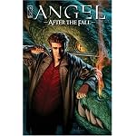 Angel: After The Fall Volume 1