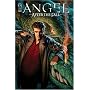 Angel: After The Fall Volume 1