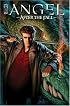 Angel: After The Fall Volume 1