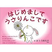 はじめましてうさりんこです