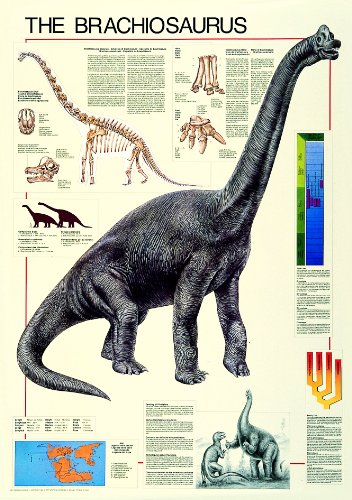 Safari LTD The Brachiosaurus Laminated Poster 51MKCy2urAL Safari LTD The Brachiosaurus Laminated Poster