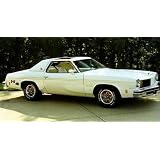 1975 Hurst Olds Stripes Kit - GOLD by Phoenix Graphix