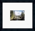 Yosemite National Park 14" x 16" Framed Photograph (NP10A-8E0)