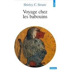 Voyage chez les babouins