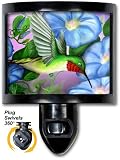 Hummingbird & Flowers - Night Light by Art Plates