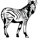 Dettagli prodotto