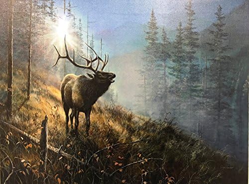 Elk In The Mist LED Canvas