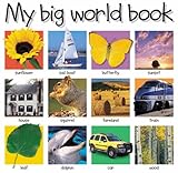 My big world book