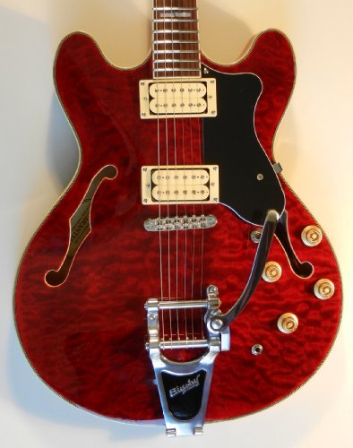 Shine Wno615 Bigsby Custom (Black Cherry)