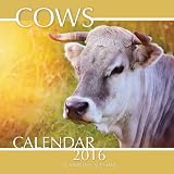 Cows Calendar 2016: 16 Month Calendar