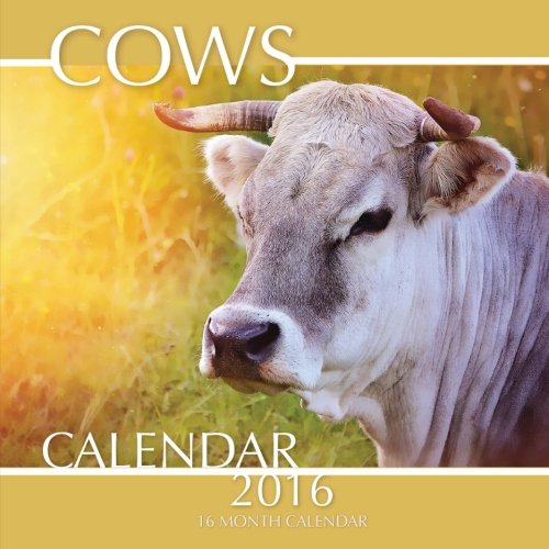 Cows Calendar 2016: 16 Month Calendar