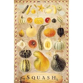 Squash Garden Poster