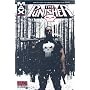 Punisher MAX, Vol. 4 (v. 4)