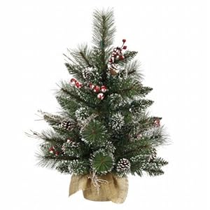 #!Cheap Snow Tipped Pine and Berry Collection