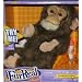 Fur Real Friends Newborn Chimp Black/Brown
