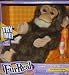 Fur Real Friends Newborn Chimp Black/Brown