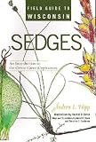 Field Guide to Wisconsin Sedges