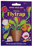 Grow Your Own Venus Flytrap