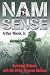 NAM SENSE: Surviving Vietnam with the 101st Airborne Division Image of NAM SENSE: Surviving Vietnam with the 101st Airborne Division