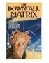 The Downfall Matrix (Patterns of Chaos)