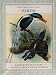 Natural History of Birds Address Book to Keep + 16 Gift Cards with Envelopes