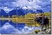Grand Morning by Julie T. Chapman - Moose Wildlife Ceramic Tile Mural 25.5