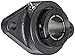 Browning VF2B-219 Normal-Duty Flange Unit, 2 Bolt, BOA Concentric Lock, Regreasable, Contact and Flinger Seal, Cast Iron, Inch, 1-3/16" Bore, 4-19/32" Bolt Hole Spacing Width, 5-9/16" Overall Width