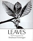 Leaves : 199 photographs