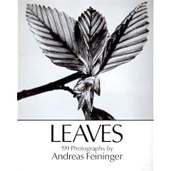 Leaves: 199 Photographs (Nature (General) Series)