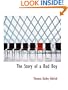 The Story of a Bad Boy (Large Print Edition)
