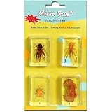 Bug Specimens (Cricket, Locust, Yellow Leaf Beetle, Crab) Bug Specimens (Cricket, Locust, Yellow Leaf Beetle, Crab)