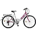 26 Zoll Fahrrad 18-Gang Shimano TZ-31 Schaltung EU-Produkt mit Beleuchtung nach STVO