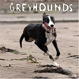 Greyhounds 2008 Wall Calendar