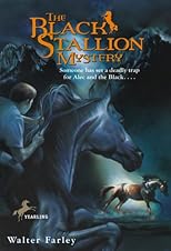 The Black Stallion Mystery