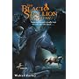 The Black Stallion Mystery