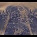 Music : Errata Stigmata