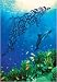 Dolphin Formation Art Giclee Poster PRINT Steve Bloom 24x36
